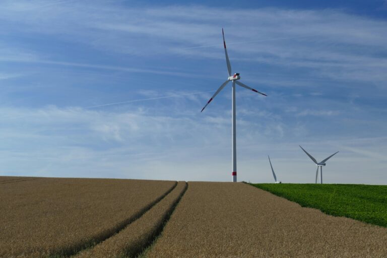 Wind Empowerment International Conference on Small Wind Turbines 2024